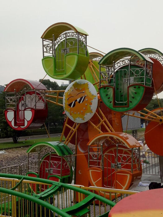 Amusement Park Rides - Double Side  Fruit Ferris Wheel