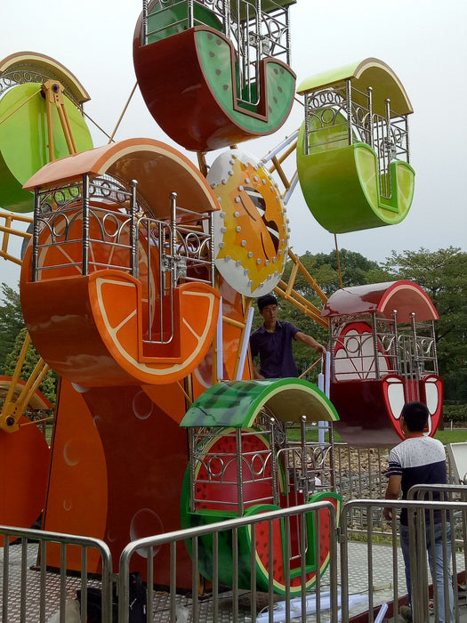 Amusement Park Rides - Double Side  Fruit Ferris Wheel