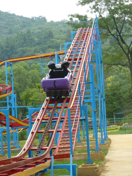 Amusement Park Rides - The Forest Flying Squirrel