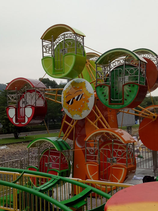 Amusement Park Rides - Double Side  Fruit Ferris Wheel