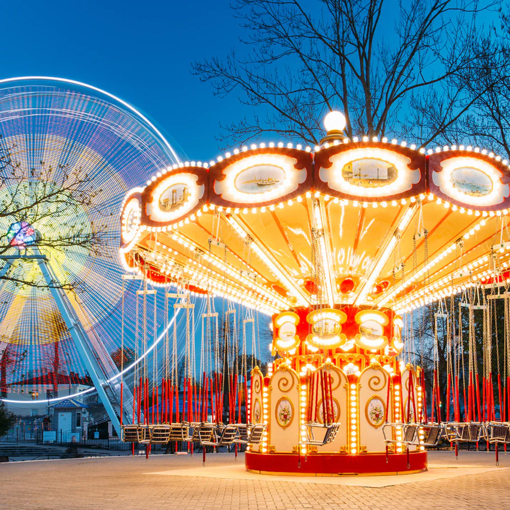 Amusement Park Ride