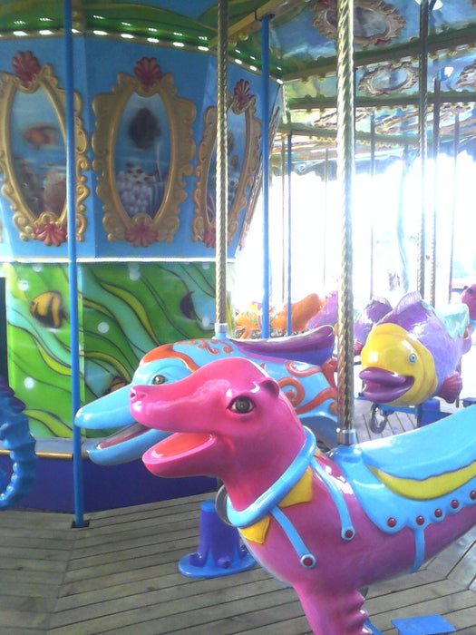 Amusement Park Rides - 26 Seats Ocean Carousel