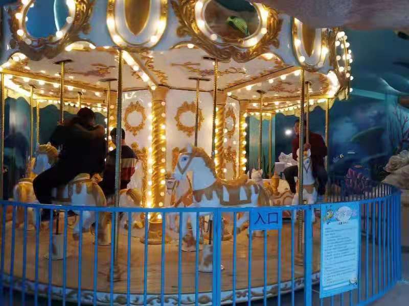 Amusement Park Rides - 24 Seats Carousel